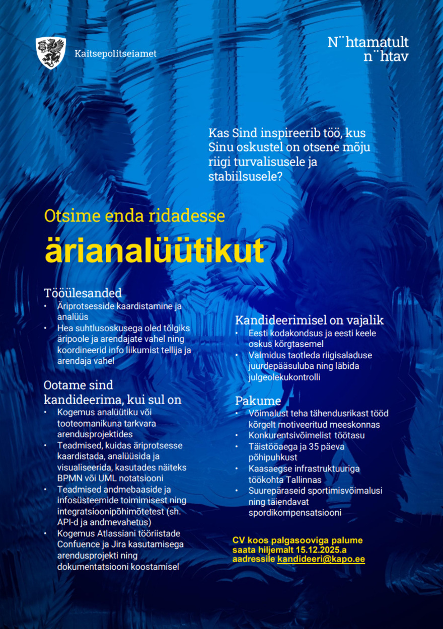 Tööpakkumise Ärianalüütik kirjeldus