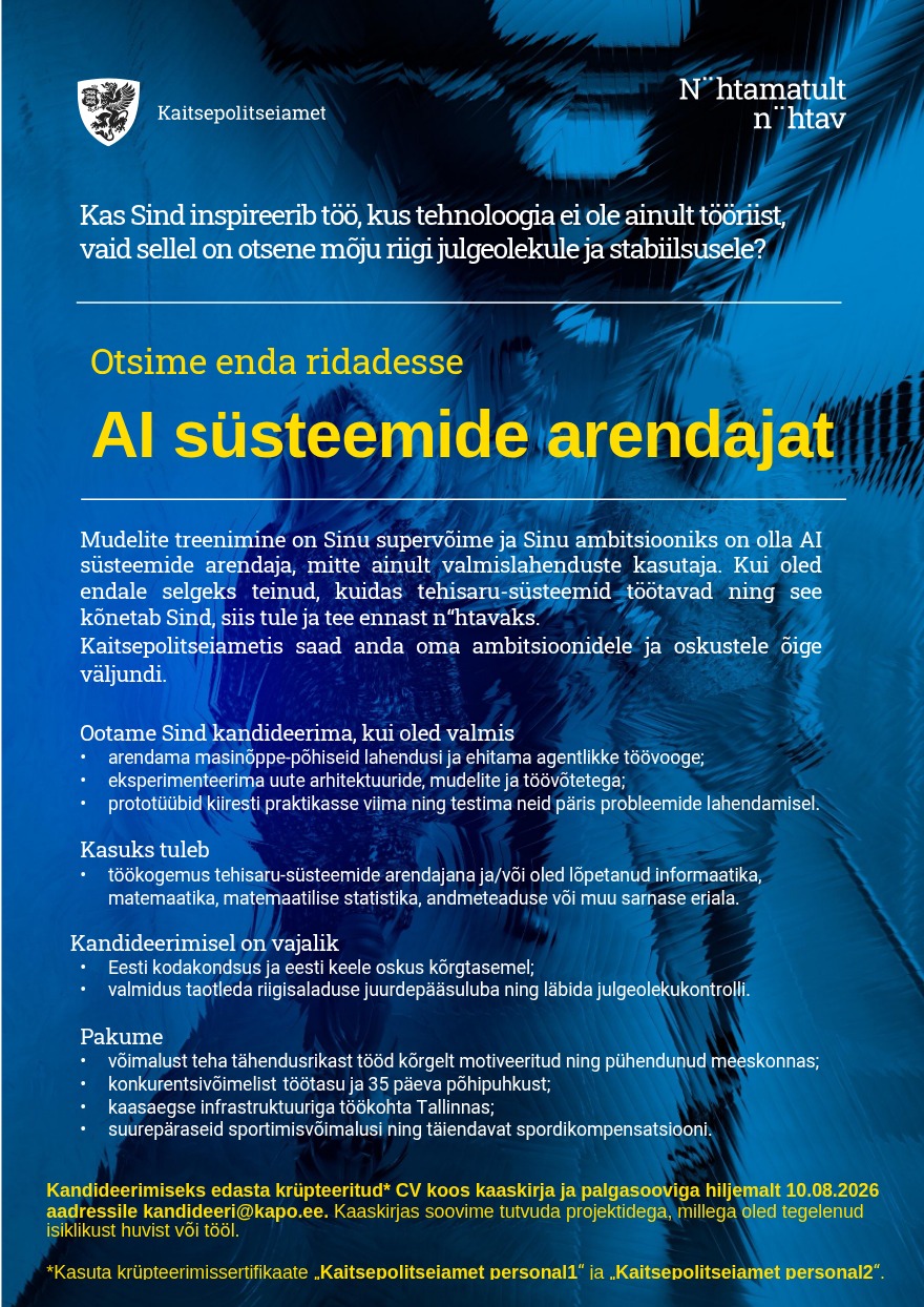 Tööpakkumise AI süsteemide arendaja kirjeldus
